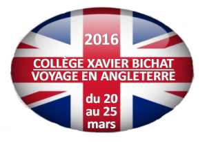 Angleterre 3 m